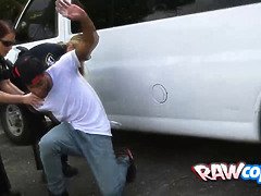 Bruinharig, Kwartet, Hardcore, Interraciaal, Moeder die ik wil neuken, Feest, Politie, Zuigen