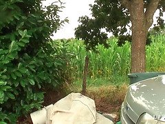 Красивые, Брюнетки, Хд, Лизание, Зрелые, На природе, Мачеха, Втроем