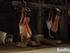 Sadomasoquismo, Amarrada, Fetiche, Hd, Lesbiana, Amante, Esclavo, Atada