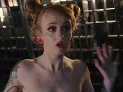 Enthousiasteling, Kont, Kont, Vingeren, Harig, Billekoek, Trio, Nat