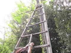 Nikki Waine takes a dildo while tied upside down