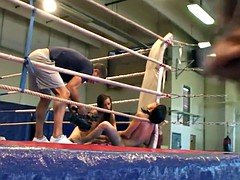 美女, ヨーロピアン, レズビアン, レスリング