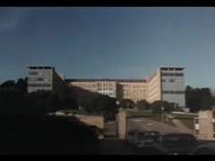 Peludo, Madres para coger, Clasico