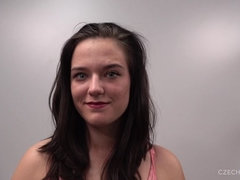 Bruinharig, Tsjechisch