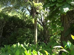 Leie, Braunhaarige, Kleid, Fingern, Flashen, Freundin, Im freien, Titten