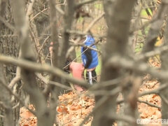 Enthousiasteling, Bruinharig, Buiten, Openbaar, Spion