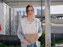 Grote lul, Hondjeshouding, Geld, Kut duiken, Realiteit, Geschoren, Sokken, Tieten likken