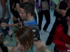 Blasen, Verein, Hundestellung, Fetisch, Gruppe, Handjob, Interrassisch, Party