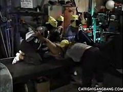 Catfight Gangbang - Cinnabunz