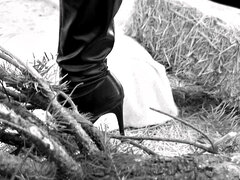 Kelly Gets Tree