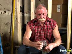 Wohlbeleibte schöne frauen, Papi, Fett, Schwul, Abendanzug