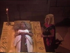 ブロンド, Peter north, ヴィンテージ