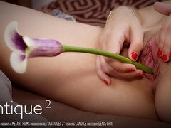 18 ans, Cul, Mignonne, Masturbation, Chatte, Chaussettes, Adolescente, Bizarre