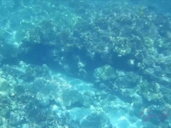 Amateur, Plage, Bikini, Doigter, Orgasme, Public, Nénés, Mouillée