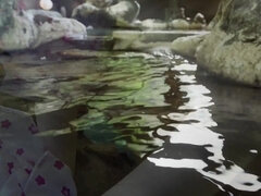 Culo, Tetas grandes, Erótico, Divertido, Masturbación, Madres para coger, Desnudo, Coño