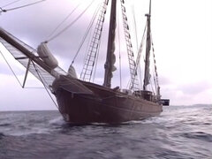 In den arsch, Grosse titten, Verrückt, Spermaladung, Hardcore, Milf, Flotter dreier, Titten