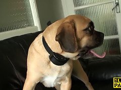 イギリス人, フェティッシュ, 馬乗り, スカート, 奴隷, スパンキング, オッパイの, スカートのぞき