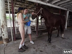 Catégorie - Grosse bite