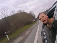 Enthousiasteling, Pijpbeurt, Auto, Hondjeshouding, Gezichtspunt, Kut duiken, Billekoek, Bruiloft