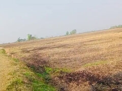 18 jaar, Anaal, Stel, Vrouw, Vingeren, Indisch, Buiten, Stiefmoeder