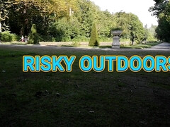 Risky Outdoors play in the parc