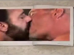 Bear sex on construction site