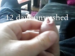 12 days unwashed, smegma cock
