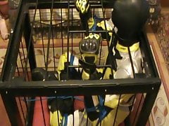 Yellow and black - the bikerslave is in the cage