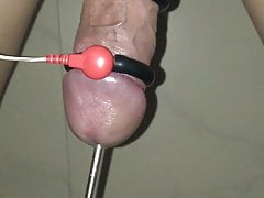 electric shock and chopsticks into the urethra 2