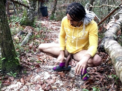 King of the rainforest (4K)