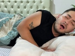 Anal, hd videos, gay hairy ass