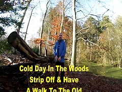 Cold Day In The Woods