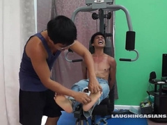 Chinese Stud Argie Tied and Kittled (white socks)