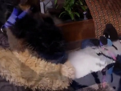 Two Gay Furries Fucking 4