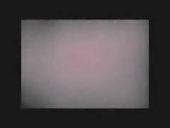 The Twinks Of Medelin