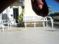 Huge balls hanging in the sun