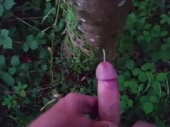 Moaning outdoor cumshot