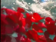 Muscle Guy Outdoor Wanking