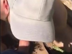 Bear cruising in the woods 8