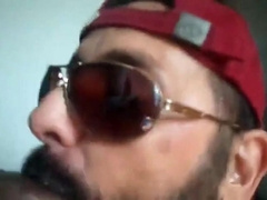 Bezerro carioca mamando os machos 9