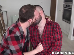 Pierced cock bear Teddy Johnston fucked bareback after BJ