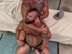 Bears, onanism, domination