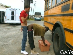 White Fellow Bangs Black