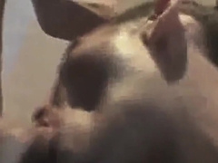 Fuck the neighbors - Baise le voisin