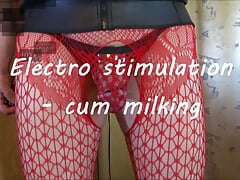 Electro stimulation - cum milking