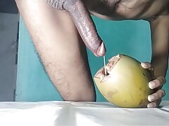 Big cock fucking coconut hole