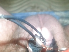 Electro torture my tiny penis  feel free to humiliate it plz