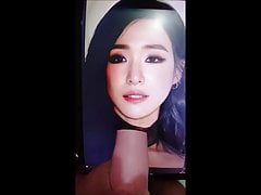 SNSD Tiffany (TIffany young) cumtribute
