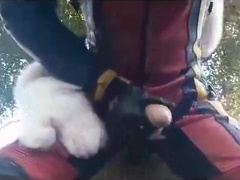 Husky bumps biker