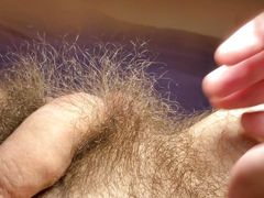 Showing off the extremely long bushy pubes around the base of my uncut white cock and scrotum